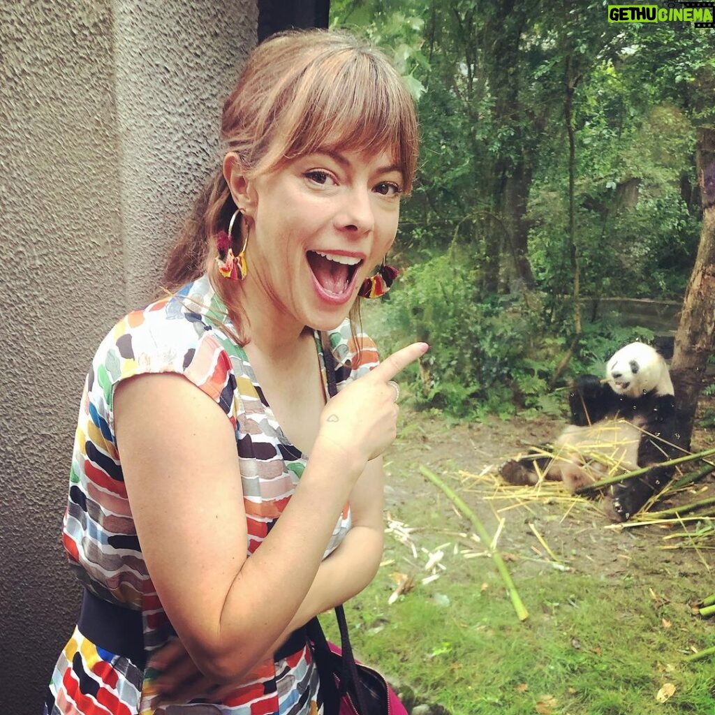 Lenka Instagram - How lucky are we! 🐼 I ❤️ Chengdu. Chengdu, Sichuan
