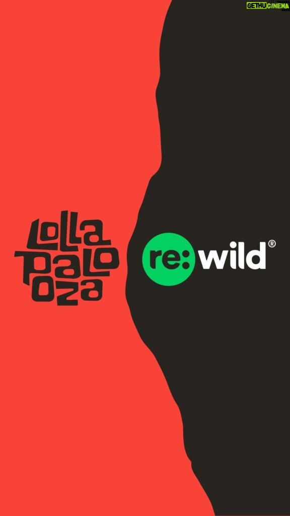 Leonardo DiCaprio Instagram - Since the beginning, sustainability has been an integral part of the Lollapalooza DNA. In 2024, @lollapalooza is elevating its commitment to the environment through a new global partnership with @rewild. Lollapalooza festivals worldwide will support Re:wild and its local partners through environmental education, providing space on the festival grounds to speak with fans, and direct financial support to Re:wild projects. Re:wild’s conservation solutions include protecting and restoring vital ecosystems, helping Indigenous peoples attain rights to their lands, safeguarding and reintroducing endangered species, and more. Learn more at the link in bio.