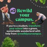 Leonardo DiCaprio Instagram – 🟢 Rewilding—in its simplest form—is about bringing the wild back in balance with people.
Swipe for some tips on how to start rewilding, wherever you are—in your homes, communities, and online and learn about a few of our partners and collaborators:
@RewildYourCampus, a movement that aims to transform campuses into vibrant, sustainable, and safe environments.
@mndiaye_97, @blackforager, and @queerbrownvegan, creators who manage to weave in biodiversity and (intersectional) environmental themes into their viral content.