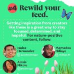 Leonardo DiCaprio Instagram – 🟢 Rewilding—in its simplest form—is about bringing the wild back in balance with people.
Swipe for some tips on how to start rewilding, wherever you are—in your homes, communities, and online and learn about a few of our partners and collaborators:
@RewildYourCampus, a movement that aims to transform campuses into vibrant, sustainable, and safe environments.
@mndiaye_97, @blackforager, and @queerbrownvegan, creators who manage to weave in biodiversity and (intersectional) environmental themes into their viral content.