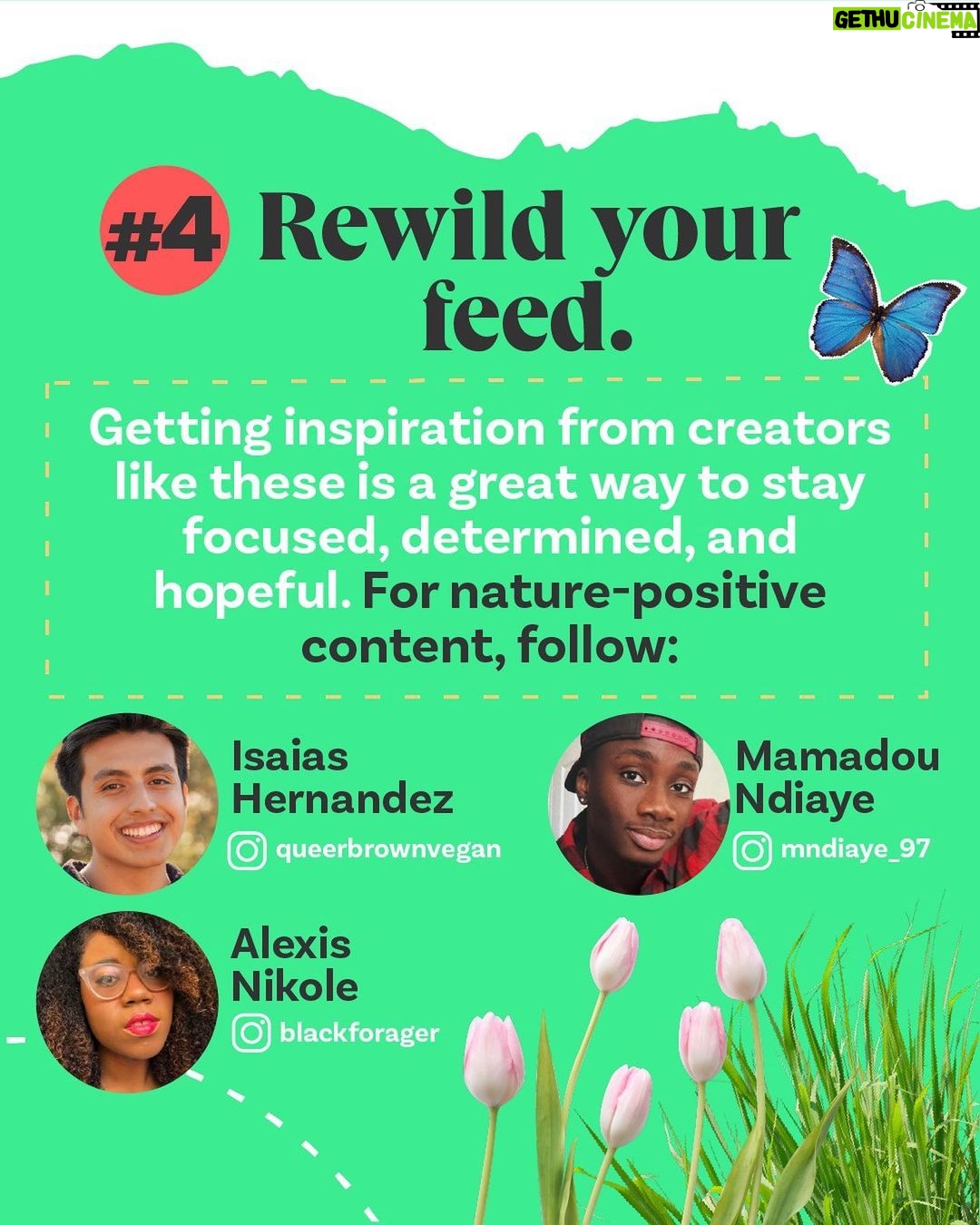 Leonardo DiCaprio Instagram - 🟢 Rewilding—in its simplest form—is about bringing the wild back in balance with people. Swipe for some tips on how to start rewilding, wherever you are—in your homes, communities, and online and learn about a few of our partners and collaborators: @RewildYourCampus, a movement that aims to transform campuses into vibrant, sustainable, and safe environments. @mndiaye_97, @blackforager, and @queerbrownvegan, creators who manage to weave in biodiversity and (intersectional) environmental themes into their viral content.