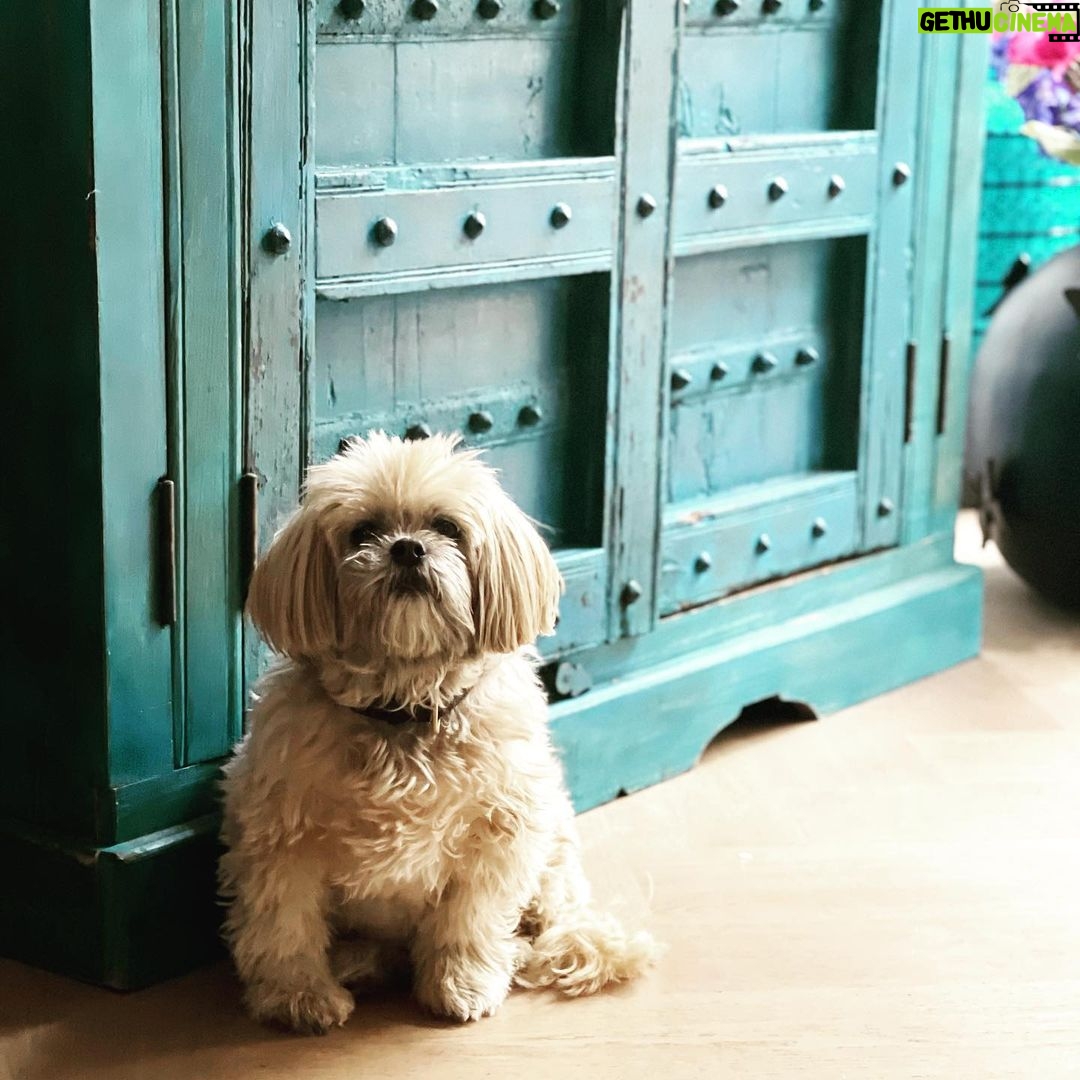 Leontine Borsato Instagram - Liefde 💕💕