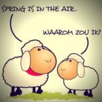 Leontine Borsato Instagram - #spring 🦋🌺🌸☀️
