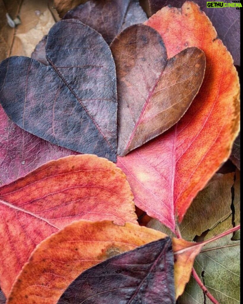 Leontine Borsato Instagram - Love the #autumn colors 🤎🧡🍁🍁🍁