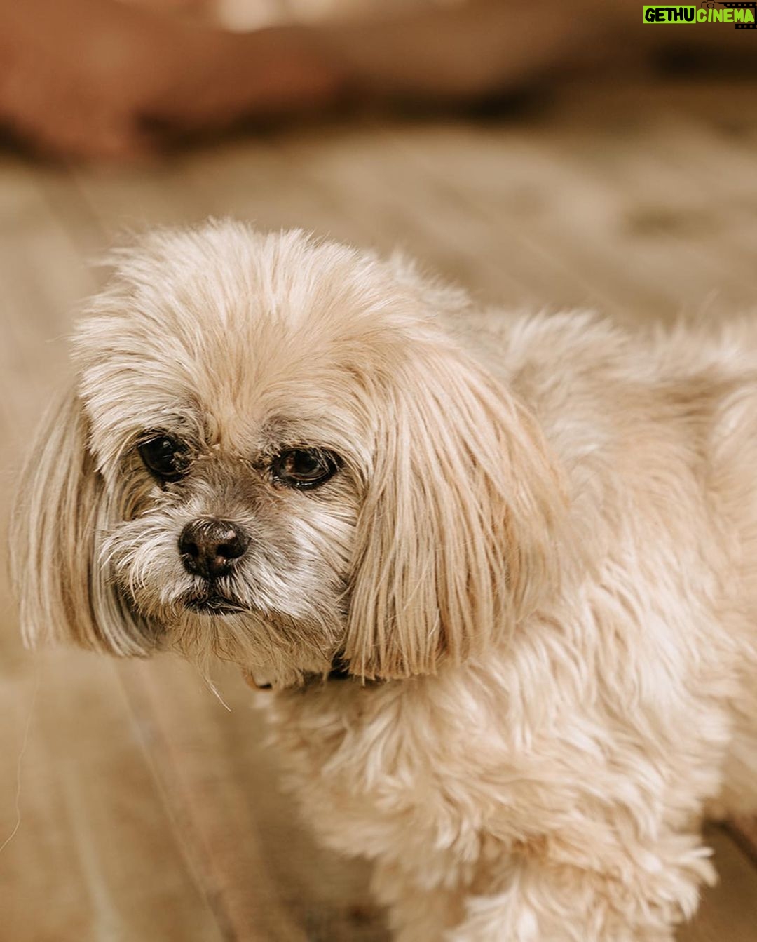 Leontine Borsato Instagram - TB naar de verrassing voor Jada, de picknick van precies 2 weken geleden. Onvergetelijk! Dank lieve @picknickclubnl voor de prachtige verzorging ❤️ Huizen