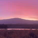 Leontine Borsato Instagram - No filter, no words needed 💜🧡 Lake Natron Camp