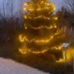 Leontine Borsato Instagram - IK MAG IETS TE GEKS WEGGEVEN // Vanwege de feestelijke december maand mag ik een compleet verzorgde getaway pakket t.w.v. €1500,- bij @havenlakevillage (met jouw 3 leuksten) + één @ibanafashion outfit voor jezelf (jas, top en broek) naar keuze weggeven. Tijdens de getaway in deze prachtige villa, inclusief ontbijt mag je gebruik maken van alle luxe die de villa te bieden heeft. Dit is toch geweldig?! 🤩🤩 Hoe maak je de meeste kans om te winnen? - Als je deze foto liked - Je maakt meer kans als je de drie mensen tagt met wie je graag een nachtje weg zou willen bij Haven Lake Village en door allemaal de volgende accounts te volgen; @ibanafashion & @havenlakevillage. - Extra leuk als jullie deze post ook reposten in je story. Op woensdag 20 december maakt @leontineborsato via Instagram stories de winnaar bekend. Good luck! 🥳