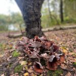 Leontine Borsato Instagram - 🎶 Het is weer voorbij die mooie zomer 🎶 Loonse en Drunense Duinen