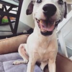 Lesli Margherita Instagram - Derp.