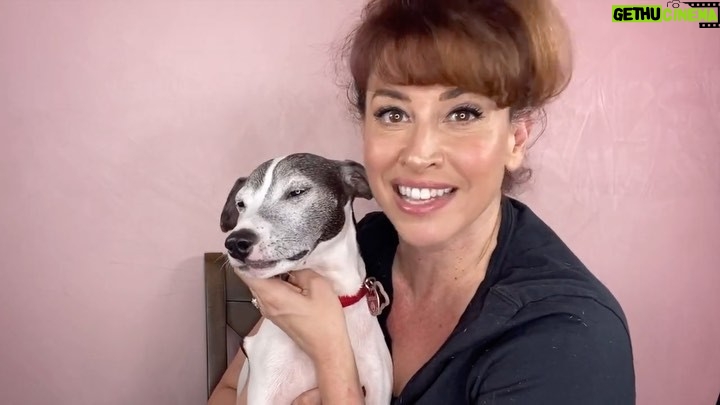 Lesli Margherita Instagram - My animal loving peeps! The rad @lightsofbroadwayshowcards has teamed up with the @humanesocietyny Sandy Fund for the #bettywhitechallenge and Stewie and I are thrilled to be a pawrt of it. (Get it? pawrt…🦗) Anywhoo- there are amaze prizes and fun stuff, or just donate to help the squish faces. Donate by Sunday at Midnite! Link in my bio!