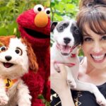 Lesli Margherita Instagram - I see no difference