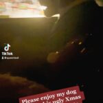 Lesli Margherita Instagram - I can’t. 😭😭 I hope this video of Stewie makes your day a little less sucky. ♥️💚🐾