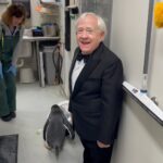 Leslie Jordan Instagram - I dressed up like a penguin hoping to see them during my visit to the @tennesseeaquarium. Guess what? I did. Thank y’all. Love. Light. Leslie.