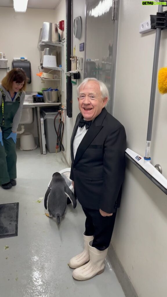Leslie Jordan Instagram - I dressed up like a penguin hoping to see them during my visit to the @tennesseeaquarium. Guess what? I did. Thank y’all. Love. Light. Leslie.