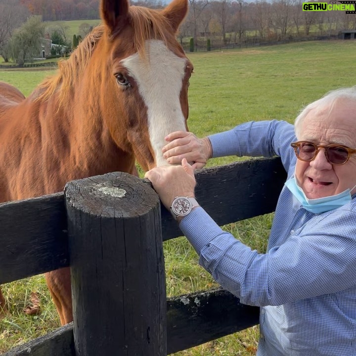 Leslie Jordan Instagram - Is there anything alive quite as beautiful as a horse in an open field?
