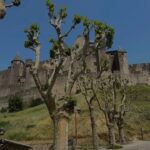 Lesslie Polinesia Instagram - Tenía tantas ganas de conocer Francia 🇫🇷 y darle una segunda oportunidad de enamorarme 🤍 por ahora si lo he disfrutado mucho Carcassonne, France