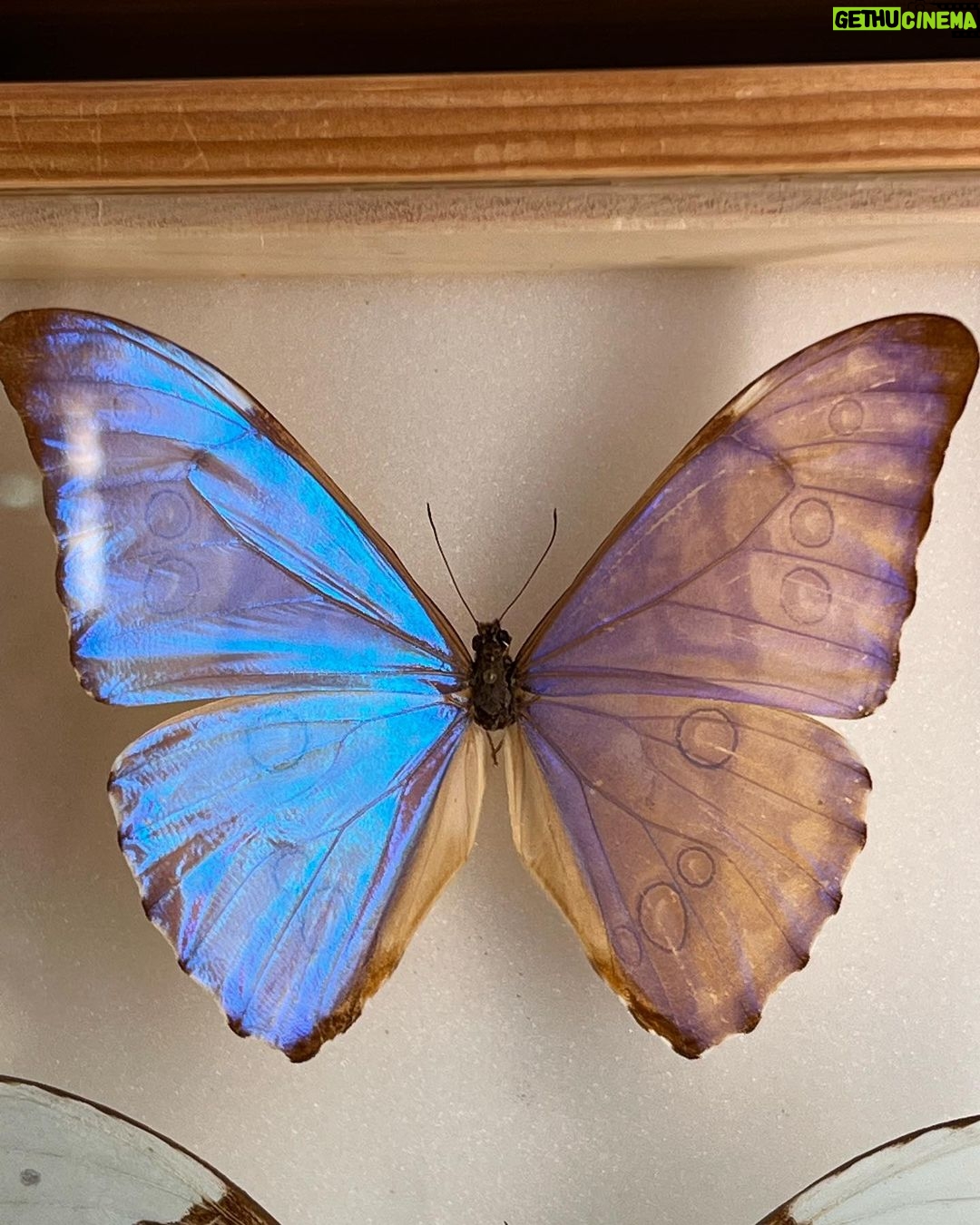 Lesslie Polinesia Instagram - Italy 🇮🇹🤍