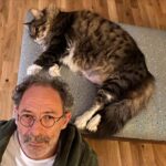 Levent Can Instagram - Baş üstüne... #yuzu 🐈♥️ 📸 @serbescs
