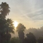Lewis Bloor Instagram – THE MONDAY RECAP ☎️:

First week with my feet on the ground settling in to the Ibiza Winter. I have been more excited about Winter than I was for the Summer. This past week showed me exactly why 🫶🤝🙌

Here’s a little recap of my past week. My personal & business wins & a special shout-out to a few of my clients 🙏🏼💚🏝️

⚡️ My first full working week Monday – Friday 8-6 since the start of summer. Massive shout out to @thehub.ibiza for what they have created. Its a melting pot of business leaders with a particular vision for themselves & the world they live in. Couldn’t be more excited to be part of this community.

⚡️ Back teaching my 2 Weekly classes @thehub.ibiza (Tue – HIIT X MOBILITY & Thu – CORE X SPRINTS) had the pleasure of meeting & training a bunch of stone cold killers this week. A treat to meet you all

⚡️ Finalised my Winter accommodation thanks to my friend Pablo. This is real turning point for my journey in Ibiza to have my own, stunning apartment with its own garden in the best possible location for winter. Grateful beyond belief for this one 🙏🏼

⚡️ LBOC has starts the Quarter of the year with the most number of active clients since I started this business in 2020.

⚡️ Paula dropped 3kg (106-103kg) in her first full week working with me, excited to see where the next 3 months takes us

⚡️ Steph got a 7 day streak for Training, Meals & Habits. This is sensational work and shows me exactly where her head and hear is at with our journey as a team 

⚡️ John got his food intolerance test results back and broke down on the phone to me. He was so overwhelmed to have some science and data to look at to understand why he struggles to lose Man Boobd, berry belly & love handles even on “HEALTHY DIETS” – this is solid ground for us to build his programs over the next 3-6 months. Its a pleasure to welcome you on board and appreciate your openness with me 

⚡️ 3 new starters last week. All with reviewed, revised, finalised & fully personalised workout, nutrition & habit programmes to get stuck in to this week!

Couldn’t be happier with my life, my connections, my contributions & my business at this moment in time.

Big Love, LB.

#ibiza #ibizawinter Santa Gertrudis, Islas Baleares, Spain