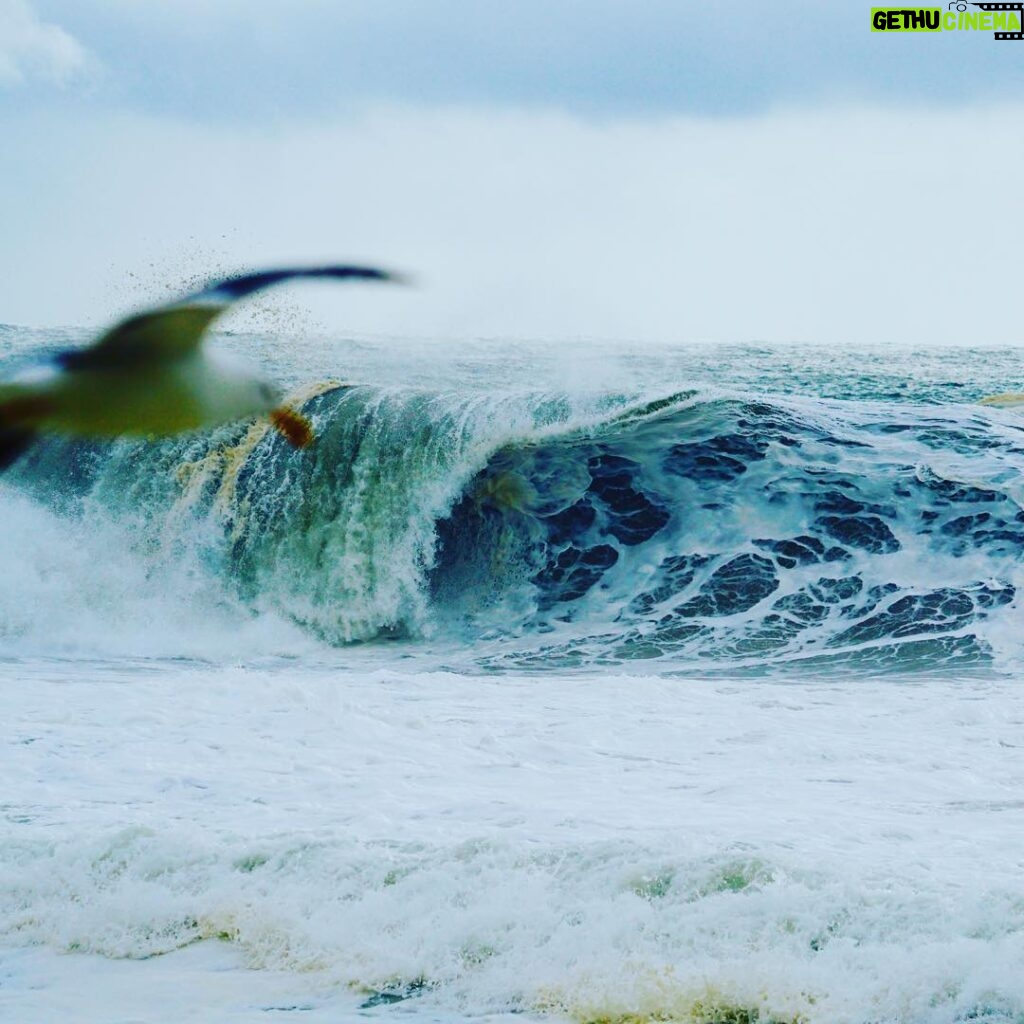 Liam Hemsworth Instagram - Seagull and a scary storm wave.