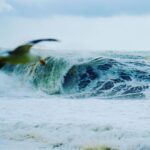 Liam Hemsworth Instagram – Seagull and a scary storm wave.