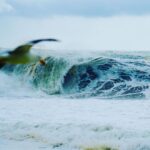 Liam Hemsworth Instagram - Seagull and a scary storm wave.