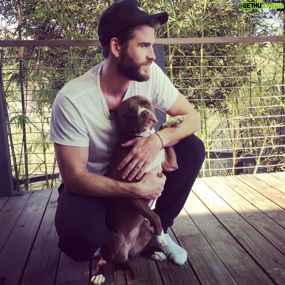 Liam Hemsworth Instagram - “Shhh she’s sleeping”