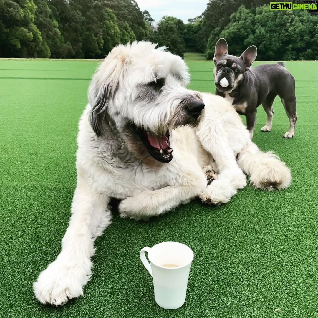 Liam Hemsworth Instagram - Happy international coffee day! @sippinstant are giving 30% off and doubling their donation to @wild.ark to help raise funds for their newest project Mongo Valley Wildlife Sanctuary. A safe zone for native flora and fauna. Good coffee doing good things 🤙🏼