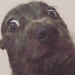 Liam Hemsworth Instagram –