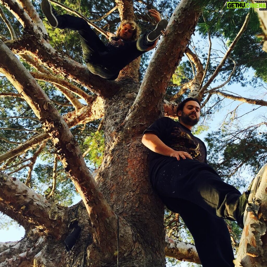 Liam Hemsworth Instagram - Climbing trees!