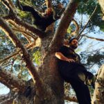 Liam Hemsworth Instagram - Climbing trees!