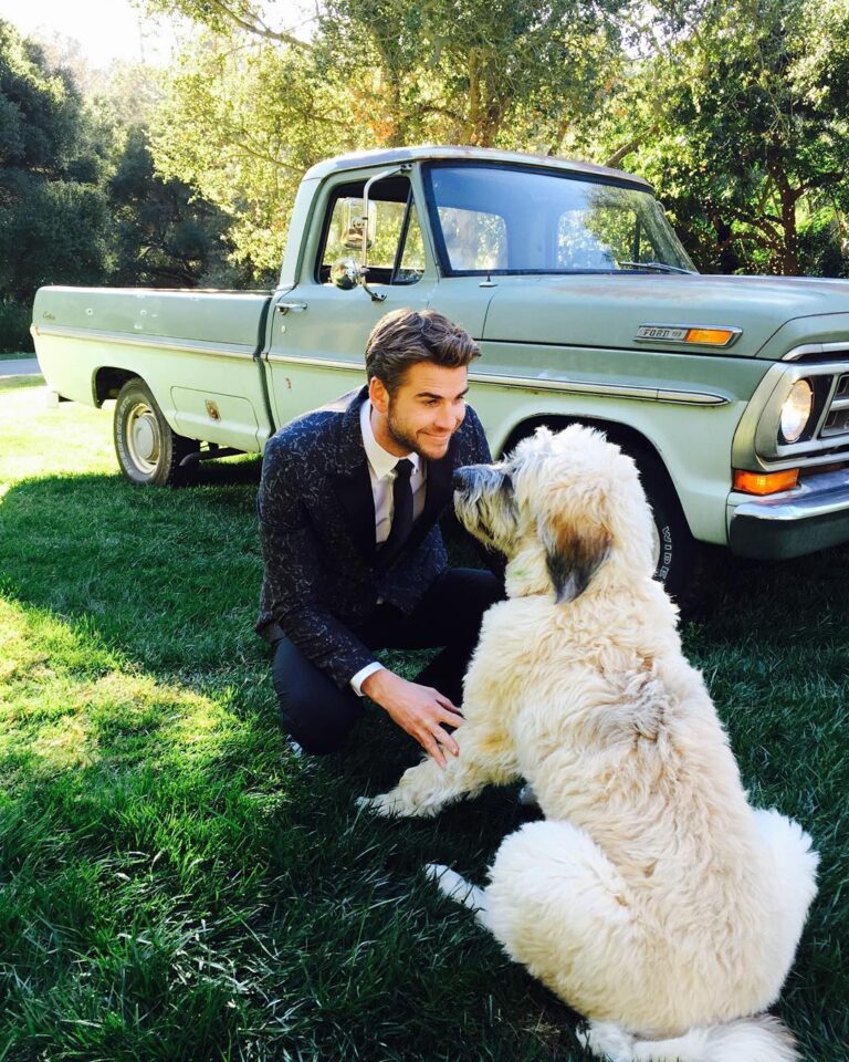 Liam Hemsworth Instagram -