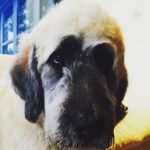 Liam Hemsworth Instagram -