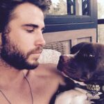 Liam Hemsworth Instagram - #TrueLove