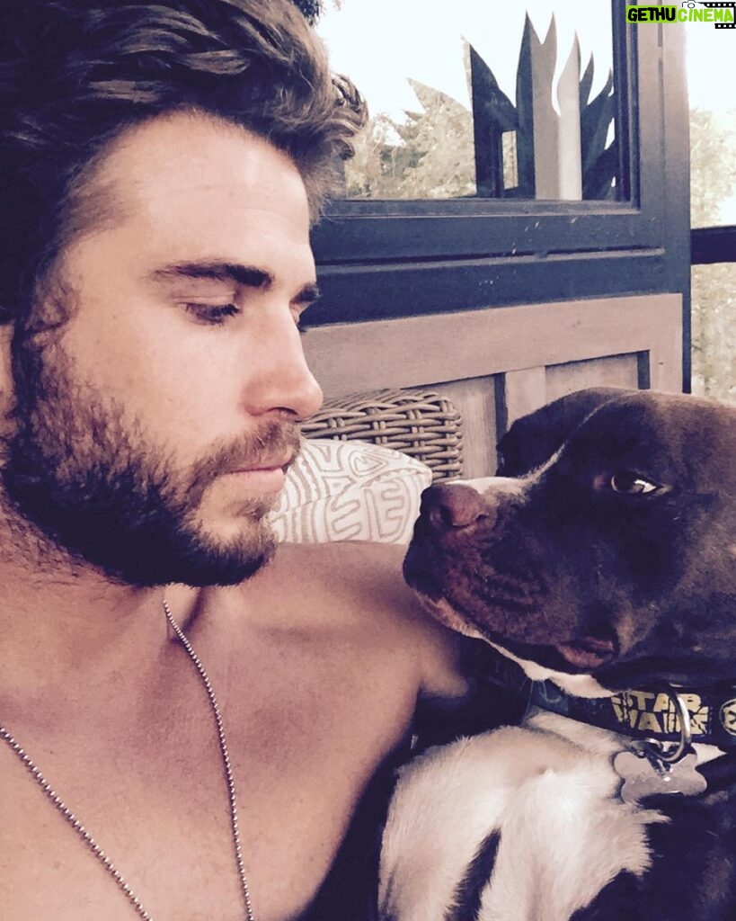 Liam Hemsworth Instagram - #TrueLove