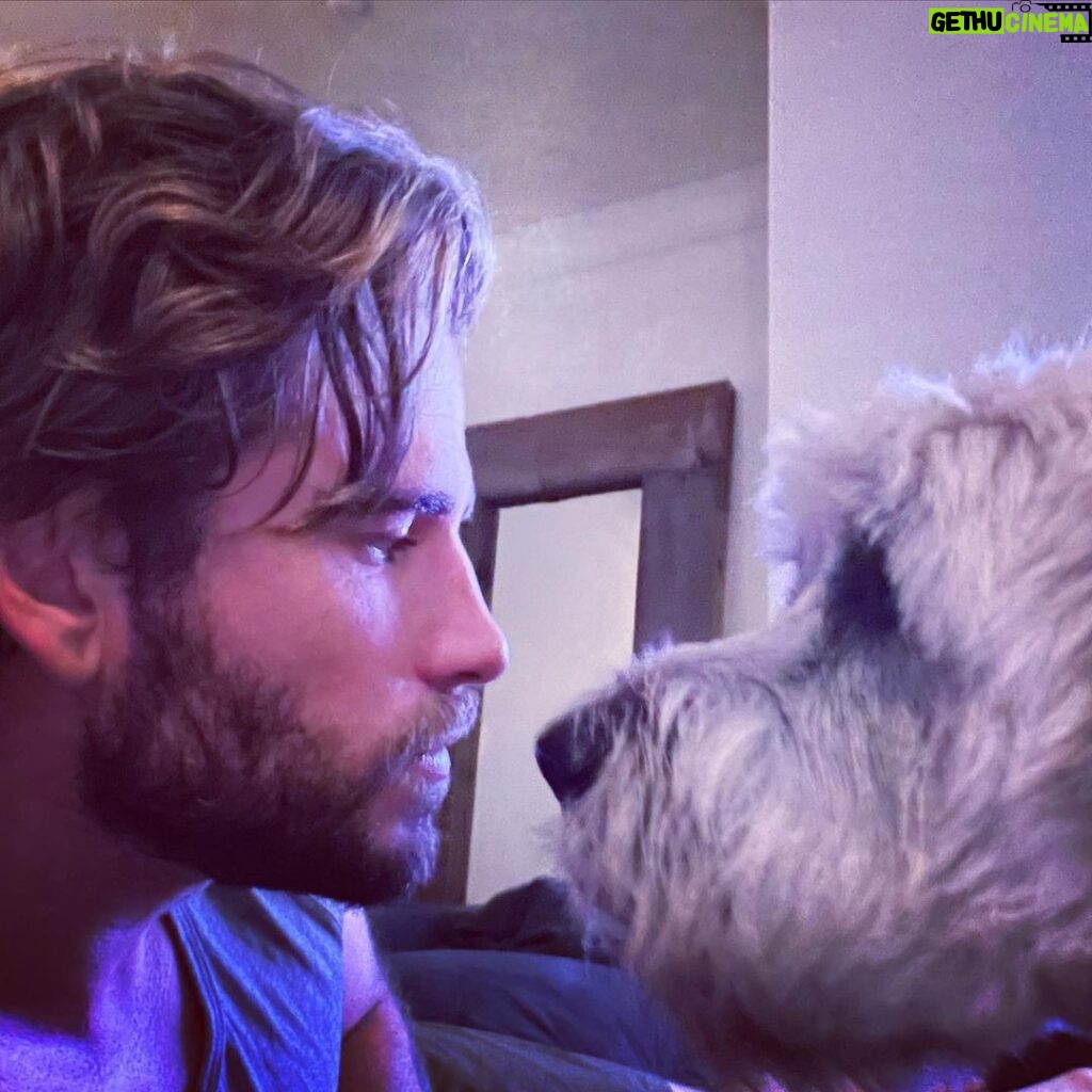 Liam Hemsworth Instagram - Man vs Dog. Who ya got?