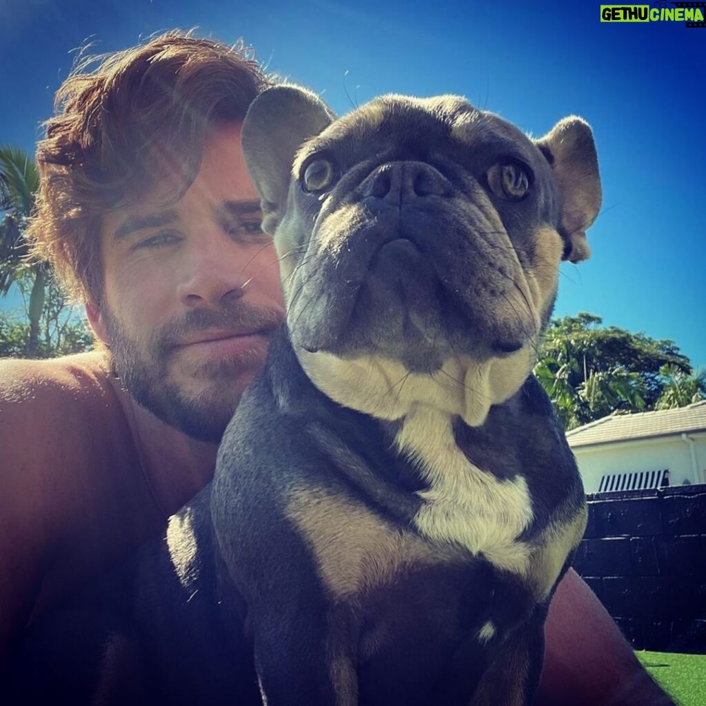 Liam Hemsworth Instagram - Dazed and confused