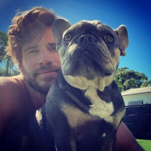 Liam Hemsworth Instagram - Dazed and confused