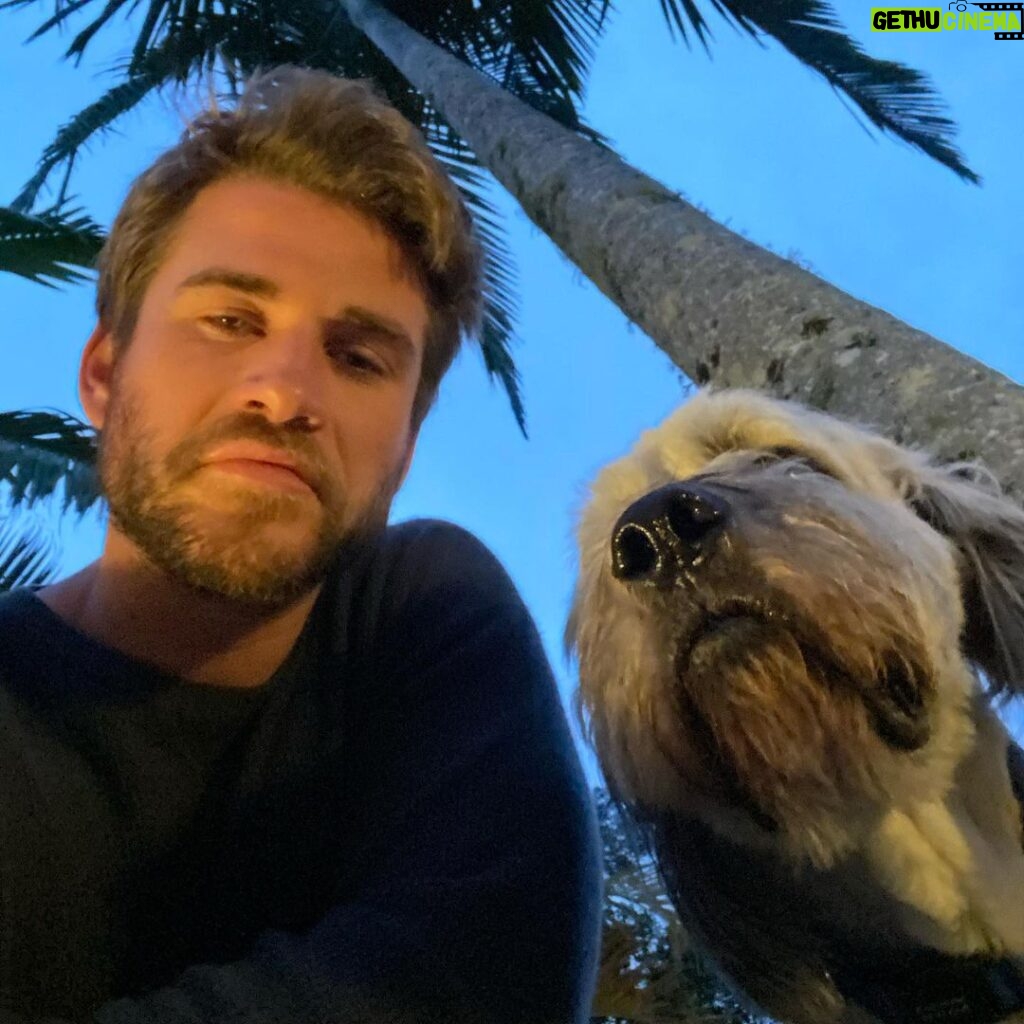 Liam Hemsworth Instagram - Staunch.