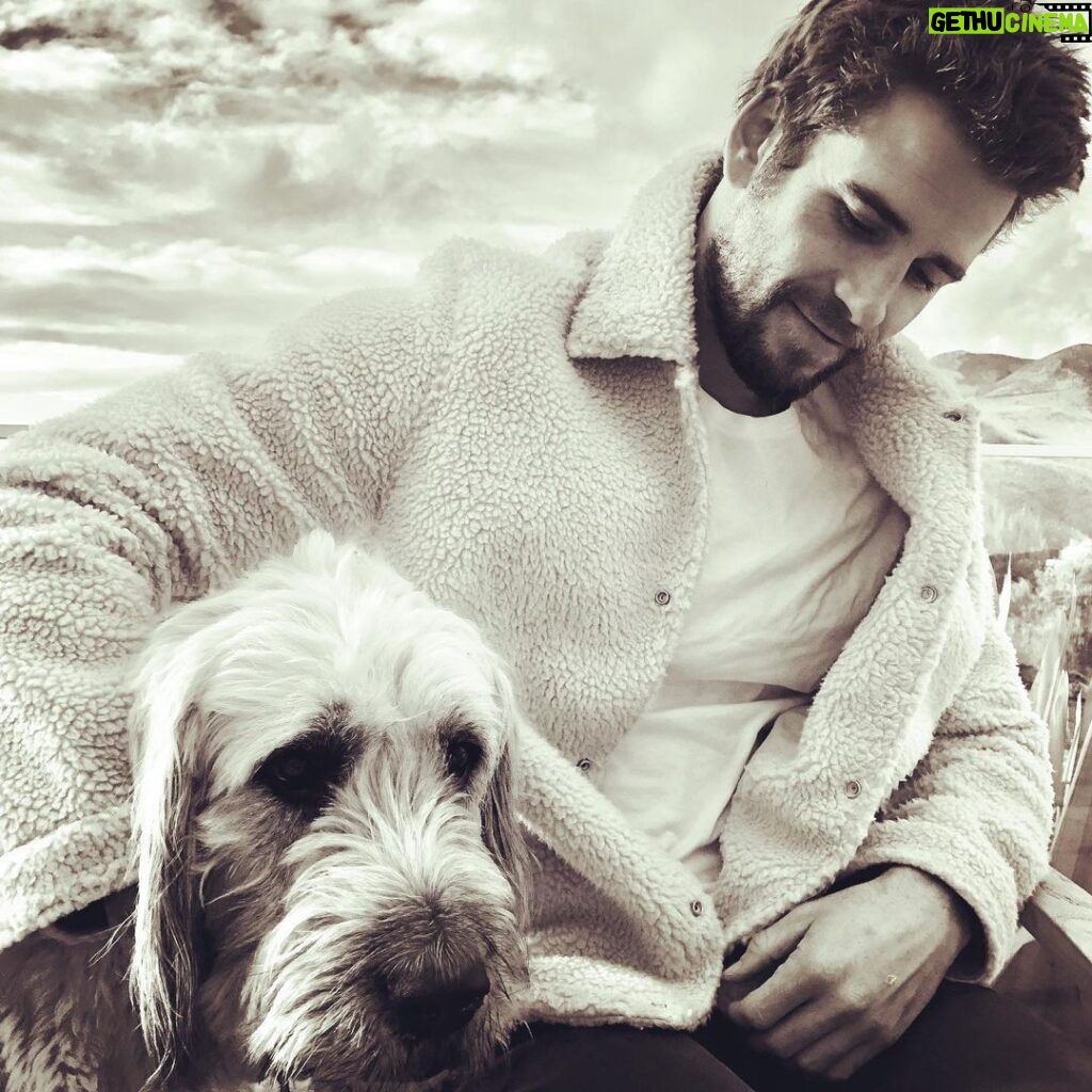 Liam Hemsworth Instagram - @hemsworthluke captured this moment of me and my best friend Dora. Good god I love this dog.