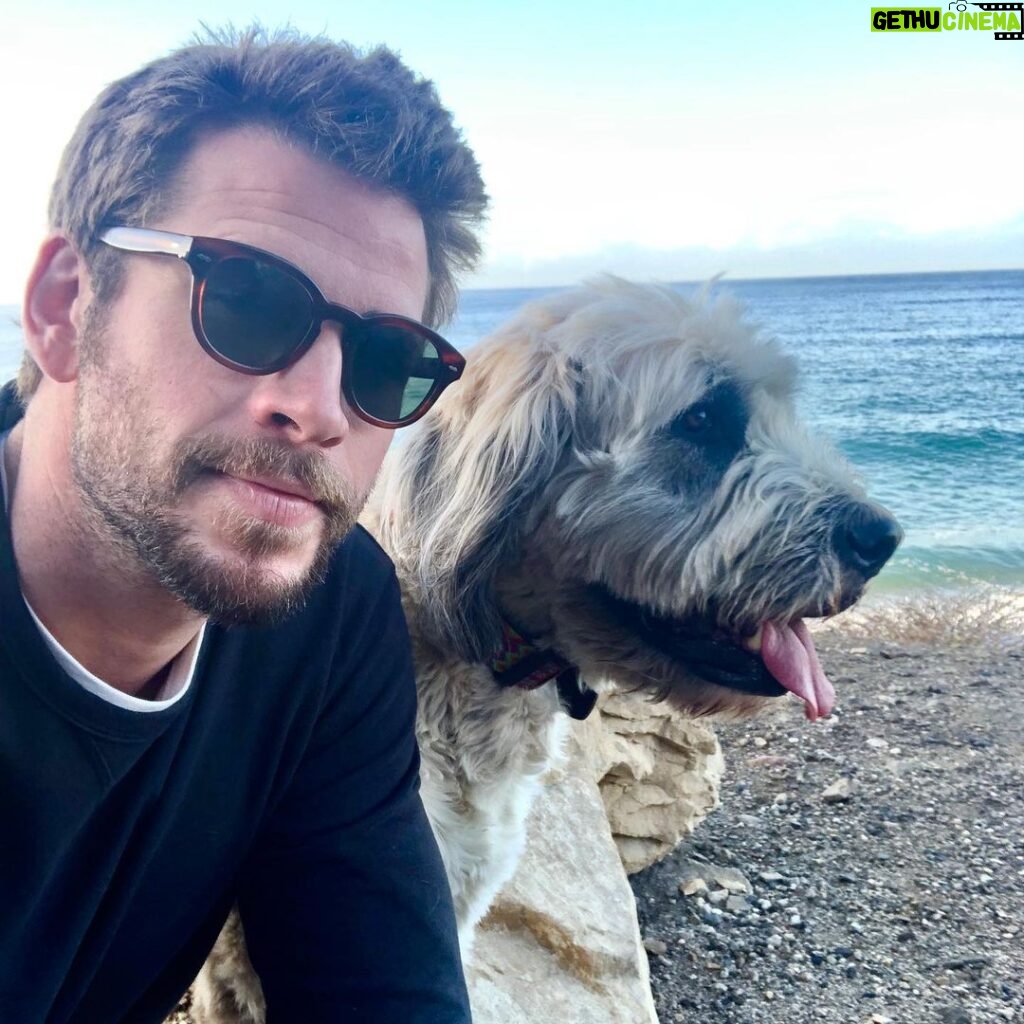Liam Hemsworth Instagram - Luck dragon.