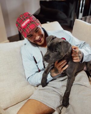 Liam Payne Instagram - Welcome to the family, Stanley! Our hearts are bigger with you in it 🐾🤍