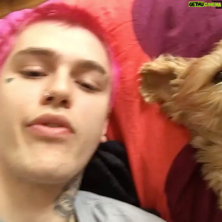 Lil Peep - 1 Million Likes - 6 years ago today Gus performed his first show. The show took place on February 13, 2016 in Tucson, Arizona with Schemaposse. I bought him a ticket to fly out of JFK on February 12. His friends--JGrxxn, Ghostemane—would meet him at the airport and take care of him.
As he psyched himself up for this new stage in his life, Gus had an instinct that he needed to have some sort of signature style—a “look” that would set him apart. He decided that he wanted pink hair. To get color, he had to bleach the hair first. Emma was good at this stuff, so she was put in charge of getting the hair supplies. After they bleached his hair, she put the hair dye in. When it was all done, he hated it. It was a very pale pink. He threatened to shave his head bald. By this time, it was getting pretty late in the evening. Emma, Gus’s friend Ian and I were all sitting there. None of us were particularly startled or bothered by this threat since Gus was always shaving his hair off and then growing it out again. He wanted very bright pink. So, Emma ran across the street to the Rite-Aid and came back with the bright magenta color that we can see in the photos Gus took of himself February 9 and 10, 2016. He loved it. He loved it so much that he took many photos of himself posing with this new hair color and even sent me a short video (in the middle of my school day). He had taken this short video of himself and Taz lying on my bed—which matched his hair! NOW he was prepared to perform at his first concert.
The show took place in a small warehouse room filled with a bunch of dedicated fans who knew the lyrics to Gus’s Beamer Boy by heart. He also performed Lil Kennedy, Pray I Die, Let Me Bleed, Praying To The Sky, The Pull Off, and Words You Hear On A Sinking Ship. His fans remain loyal and passionate six years later.