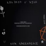Lil Peep Instagram - @roseingoodfaith @greenpeace 1 week only