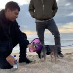 Lil Peep Instagram - “I’ve Been Waiting” with Makonnen and Fall Out Boy, shot by Prince (the dog) with help from Sus Boy. Video link in bio.