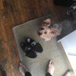 Lil Peep Instagram - Winter
