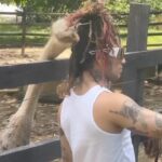 Lil Pump Instagram - I JUST GOT BIT A GIRAFFE 😭
