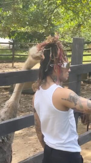 Lil Pump Instagram - I JUST GOT BIT A GIRAFFE 😭