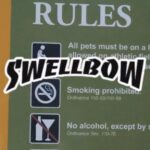 Lil Wayne Instagram - SWELLBOW!!
