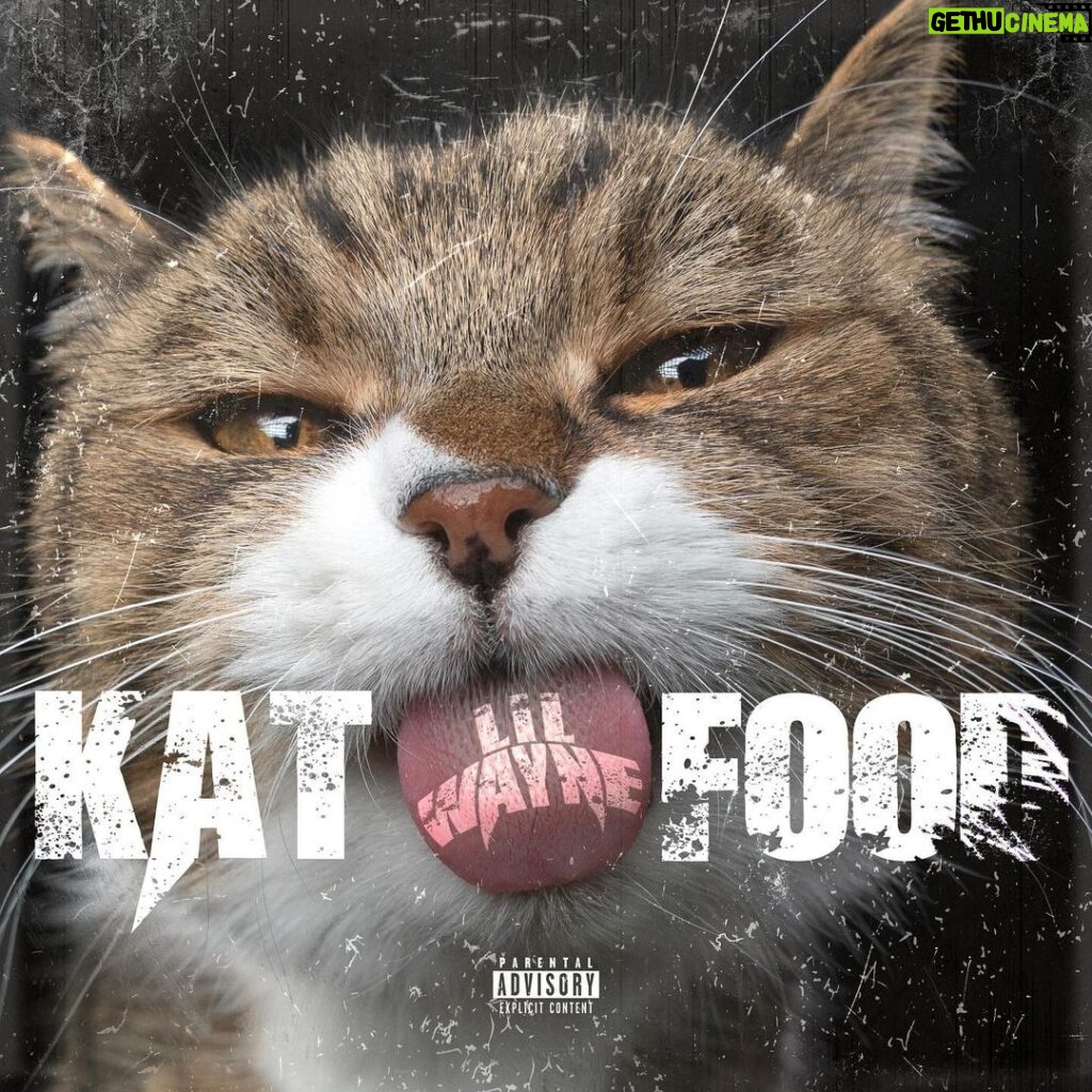 Lil Wayne Instagram - “Kat Food” OUT NOW!